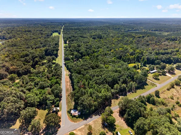1337 Johnny Miller Rd, Buena Vista, GA 31803