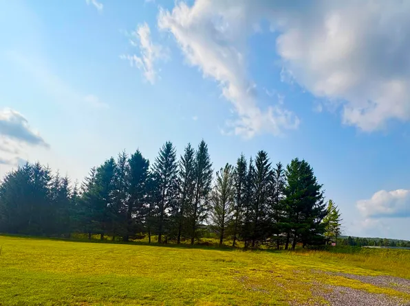 LOT 48 Penny Ln, Davis, WV 26260
