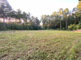 371 Holy Trinity Church Rd, Little Mountain, SC 29075