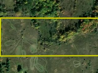 0-V/L N Lincoln Rd, Mount Pleasant, MI 48858