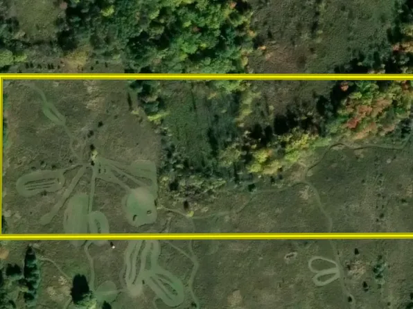 0-V/L N Lincoln Rd, Mount Pleasant, MI 48858