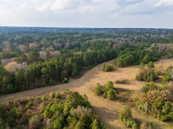 0 Farm To Market Rd #228, Grapeland, TX 75844