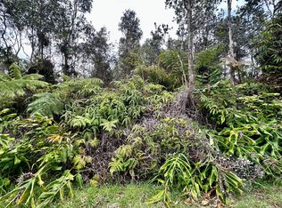 Liona St, Volcano, HI 96785