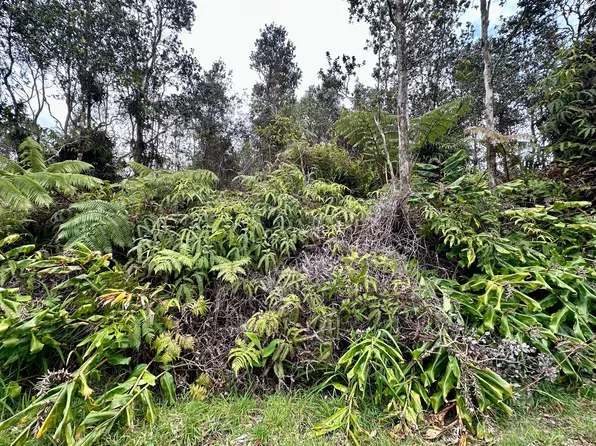 LIONA ST, Volcano, HI 96785