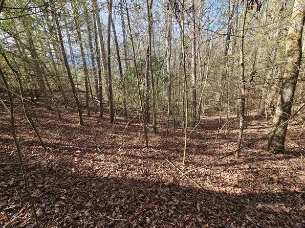 LOT 77 Roaring Forks Ln, Ellijay, GA 30540