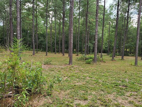 4th image of 373312 County Road 3160