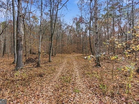 3rd image of 0 Flowery Branch Rd