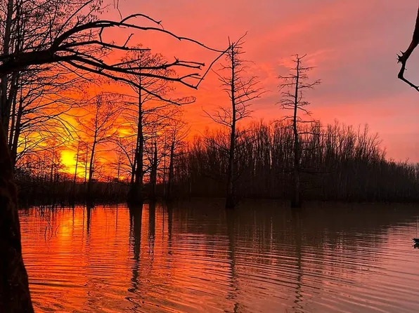 Guedon Rd, Natchez, MS 39120