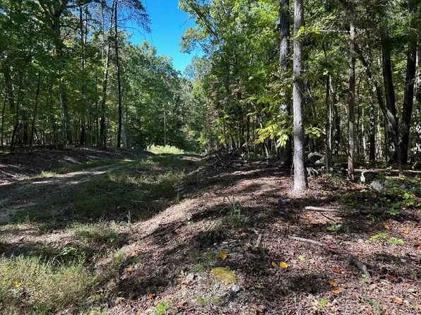 353 Diana Dr Lot 353, Spring City, TN 37381