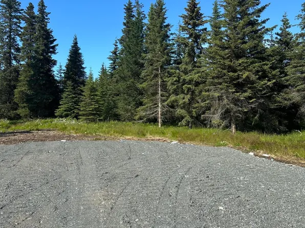72468 Rose Ave, Anchor Point, AK 99556