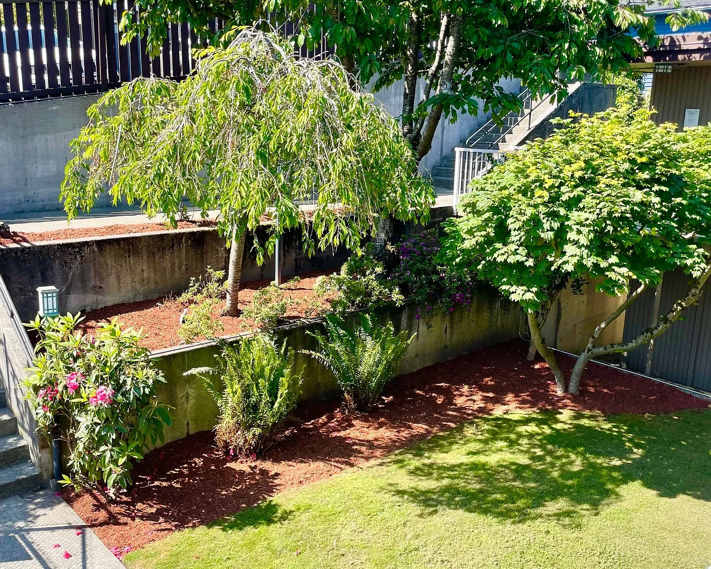 Queen Anne Terrace — Photo 4