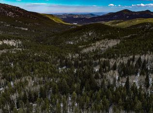 1111 Wood Rd, Idaho Springs, CO 80452