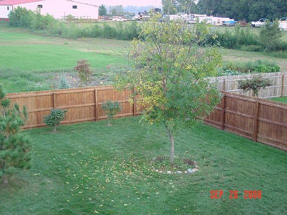 Backyard w/privacy