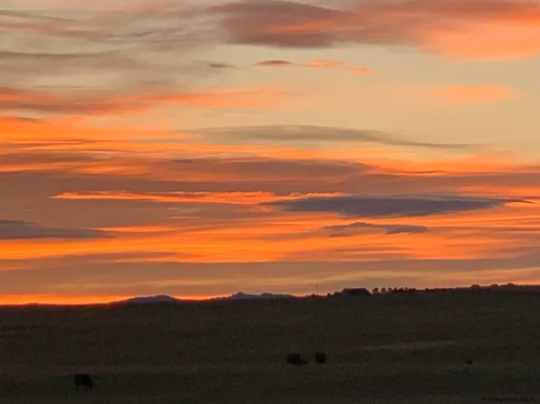 Road 215, Cheyenne, WY 82009