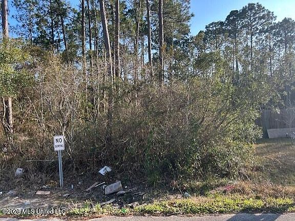 3rd image of Petunia Rd Lot 93