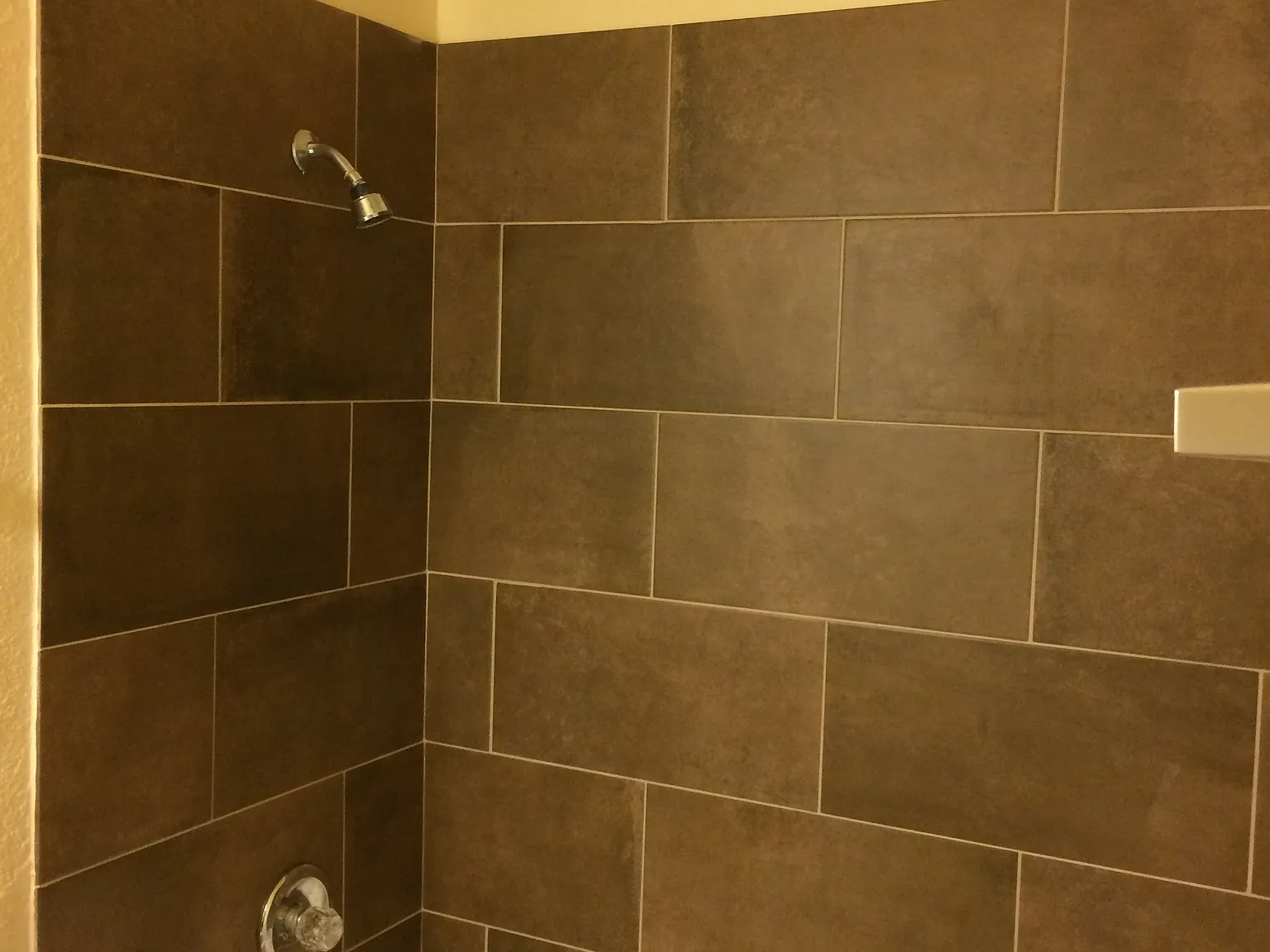 1 bed, 559 sqft, $840 — Photo 3