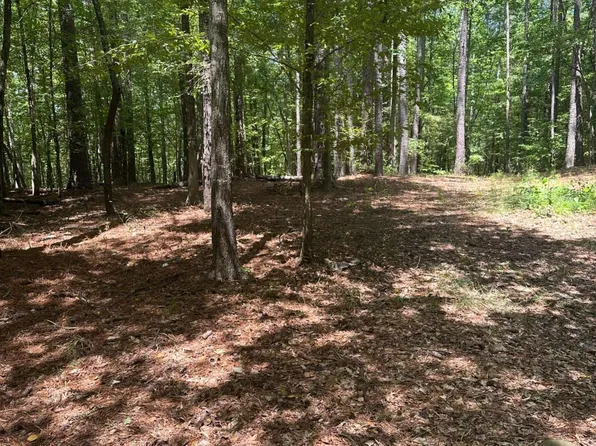 1144 Wolfskin Rd, Arnoldsville, GA 30619