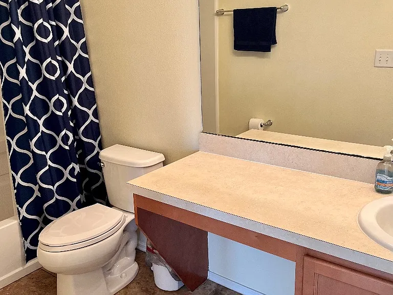 273 Michelangelo Pl — Photo 19