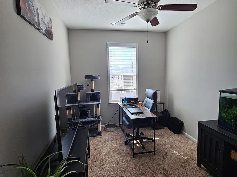 106 Caldwell Loop — Photo 12