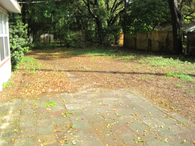 Nice size Back Yard