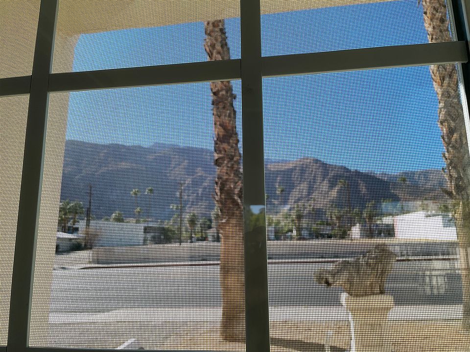 Mountain Views!