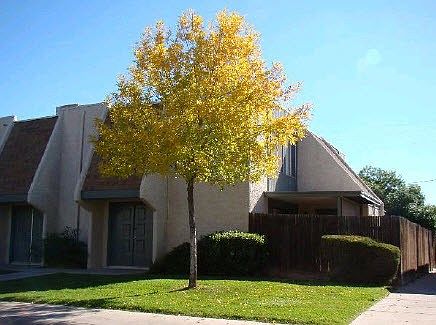 1st image of 5939 W Golden Ln
