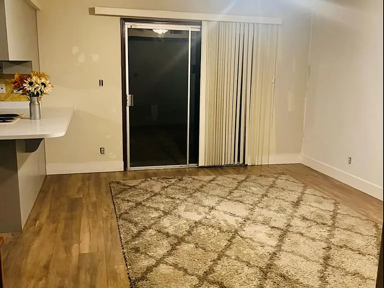 1311 W Elna Rae St — Photo 16
