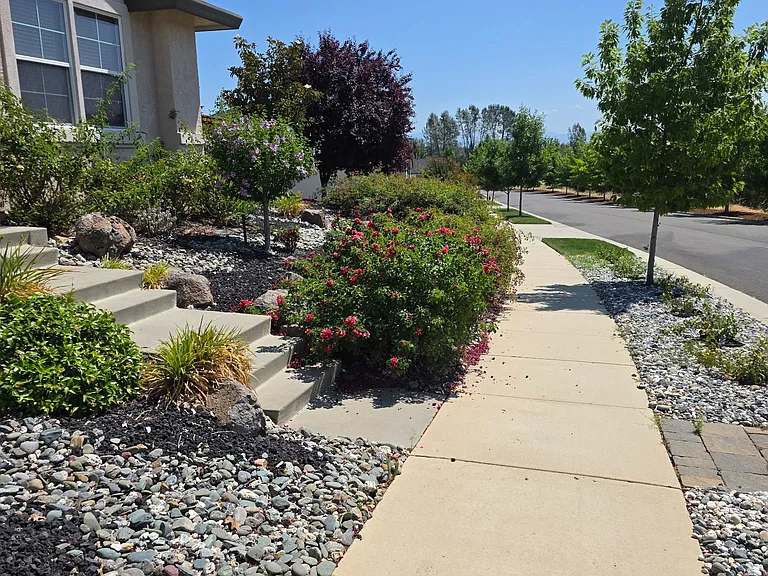 358 Reddington Dr — Photo 30