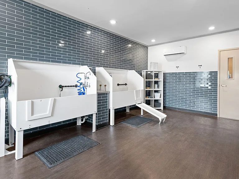 Aria Apartments of Zionsville — Photo 8