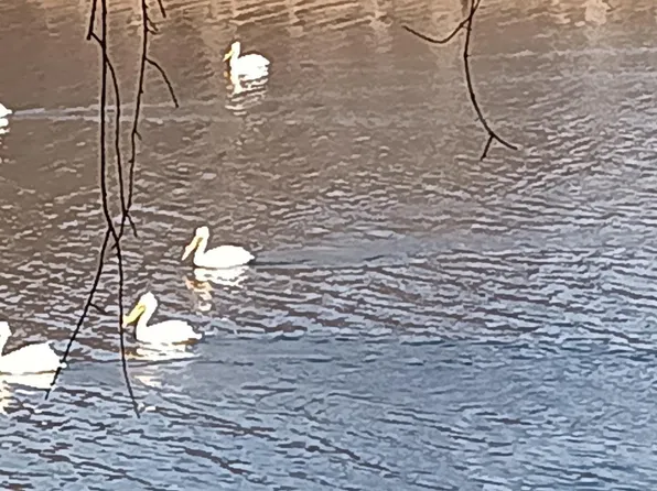 N4568 County Rd N, Arkansaw, WI 54721