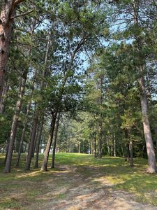 3903 Ramsey St, Pequot Lakes, MN, 56472
