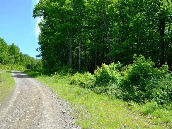 Map004/030 Ermine Road, Sandy River Plt, ME 04970