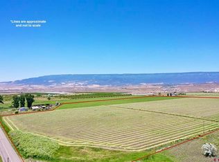 TBD North Road, Hotchkiss, CO 81419