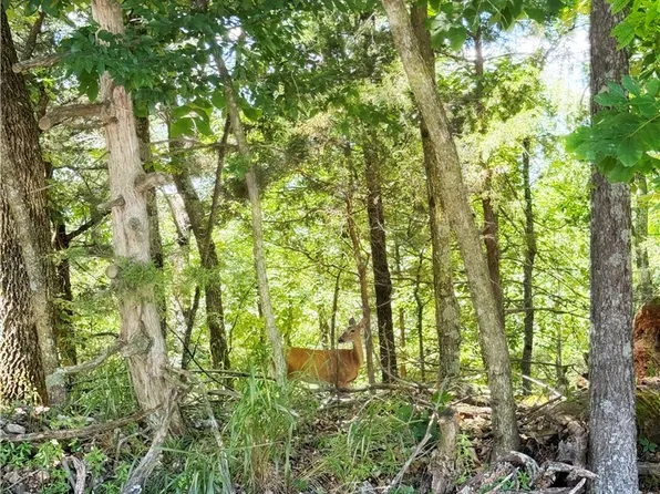LOT 94 Oak Leaf Dr, Garfield, AR 72732