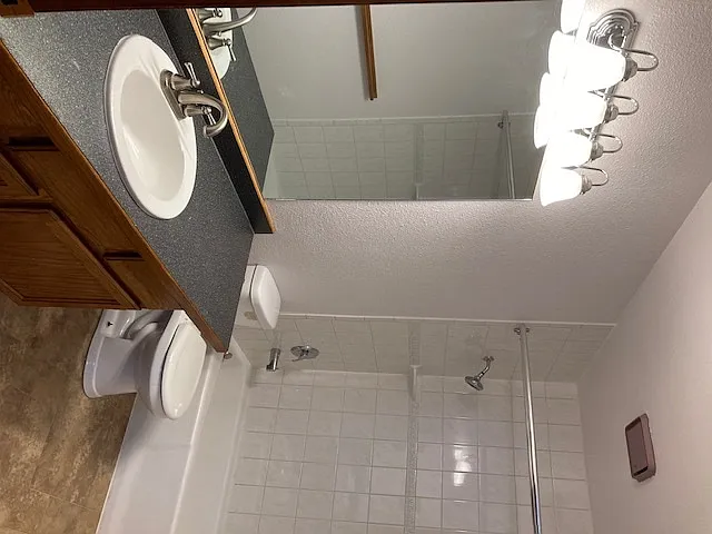 Downstairs bathroom- traditional Tub-shower combination. Well lit. Good counter space
