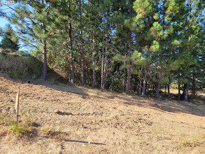 0 NE Simpson Ln #4, Myrtle Creek, OR, 97457