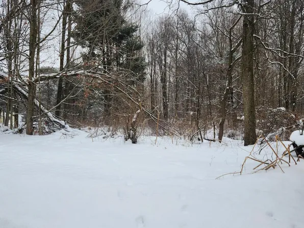 8694 W South County Line Rd, Greenville, MI 48838