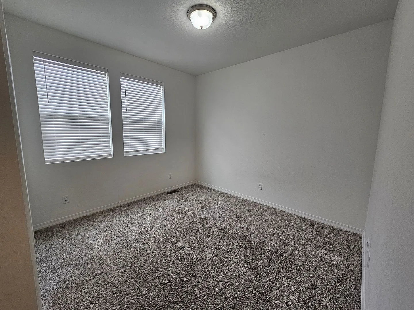 4 Bed 3 Bath in 80831!! — Photo 4
