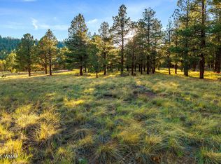 7 N County Road 1332 St #46, Greer, AZ 85927