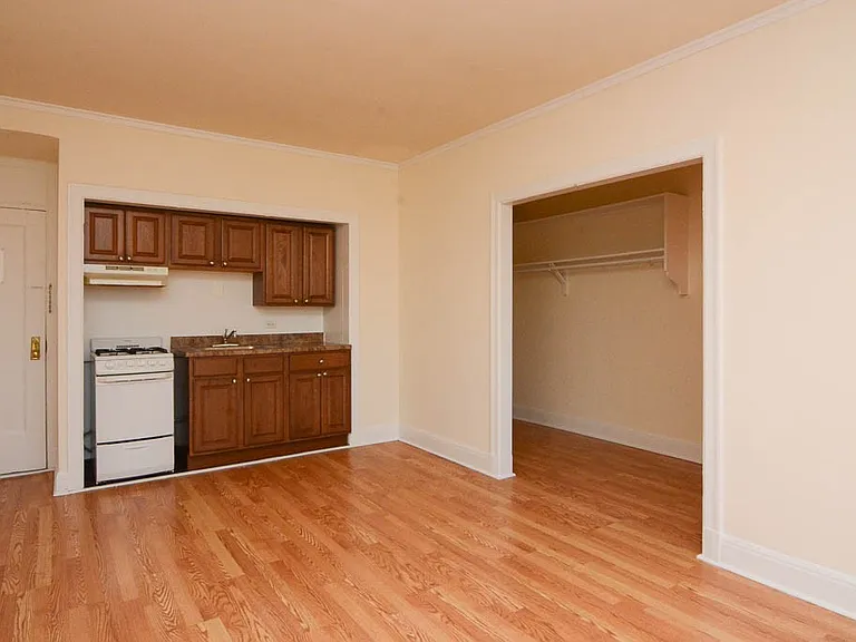 3335 W Diversey Ave #532 — Photo 8