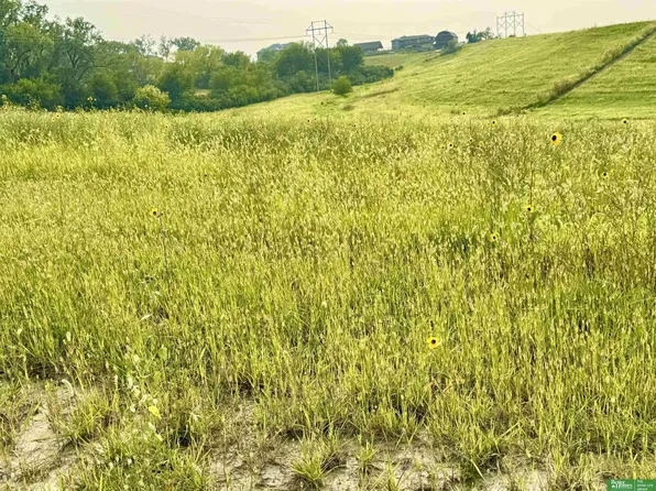 12212 S 226th St, Gretna, NE 68028