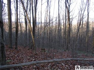 Jackson Hill Rd, Cuba, NY 14727