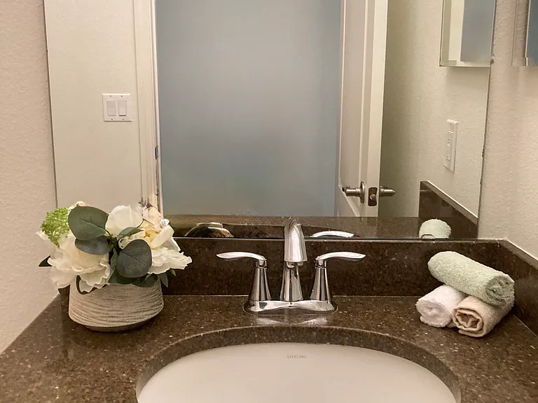 2543 Balforn Tower Way — Photo 15
