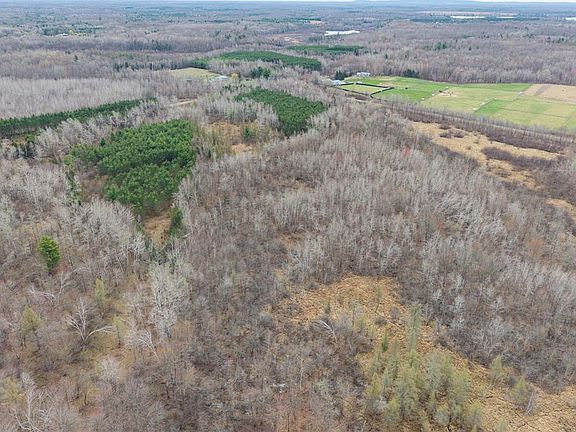 3rd image of 40 Acres Adams & Jones Road