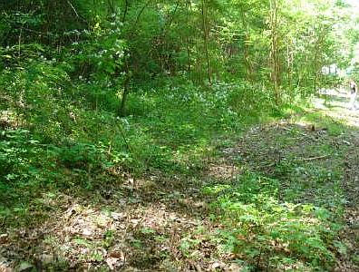 1st image of LOT 60 Williams Dr