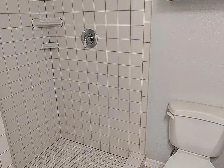 Hall bathroom stand-up shower.