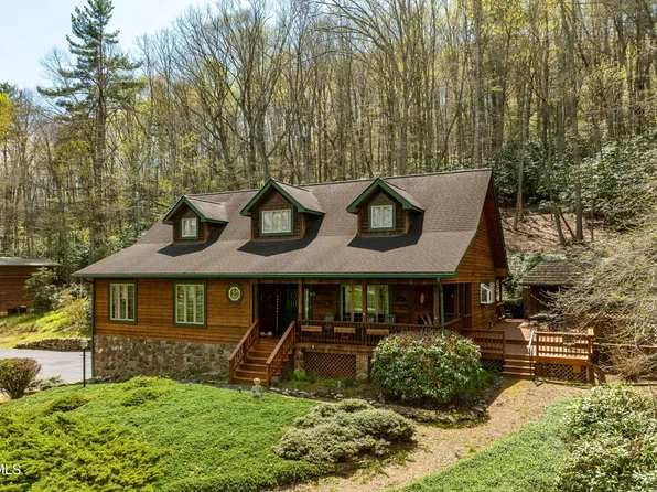 1297 Harbin Hill Rd, Mountain City, TN 37683
