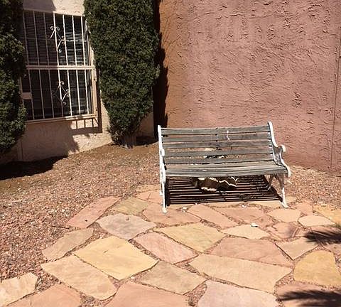 Large backyard