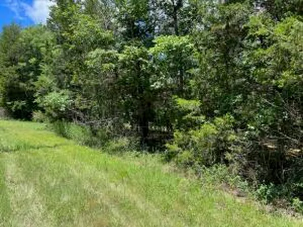 E Larchwood Dr, Lead Hill, AR 72644