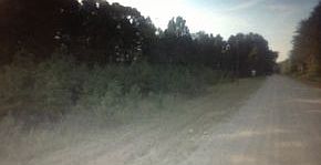 2nd image of 230 Simmons Lake Dr